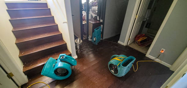 Best Sewage cleanup and water damage restoration  in Hurley, WI