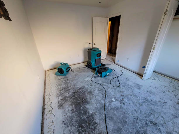 Trusted Hurley, WI Water damage restoration Experts