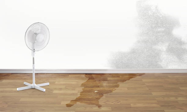 Best Flood damage cleanup  in Hurley, WI