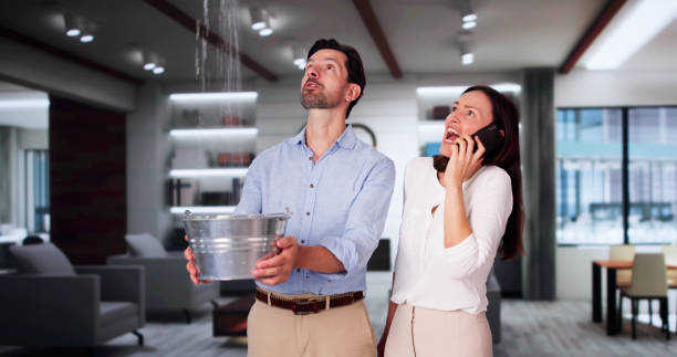 Best Ceiling water damage repair  in Hurley, WI